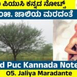 Jaliya Maradante