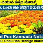 Ondu Hoo Hechige Idutini Notes