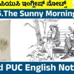 The Sunny Morning