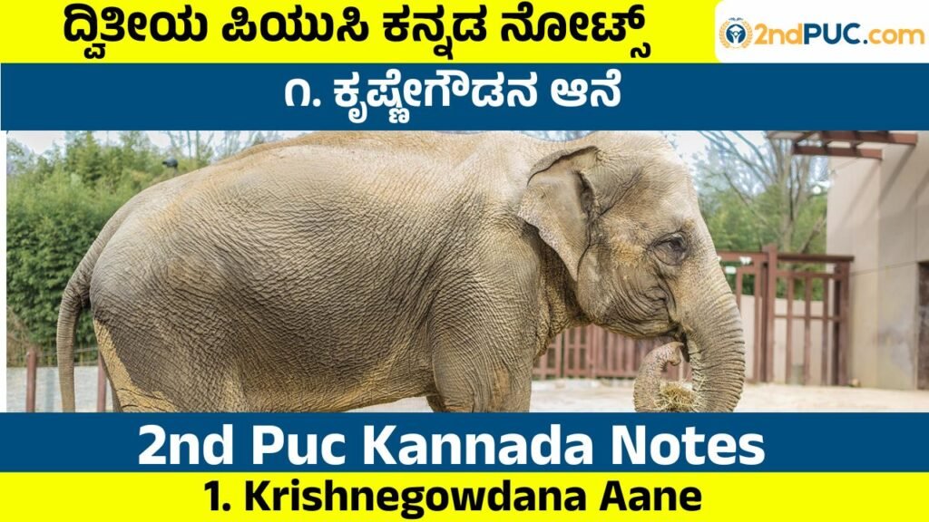 Krishnegowdana Aane Notes